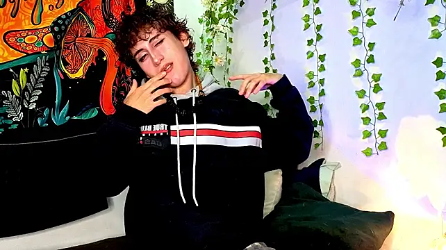 Show webcam de noynxz