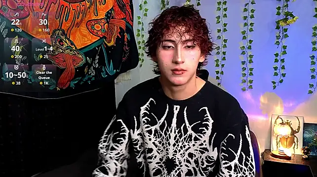Show Webcam de noynxz