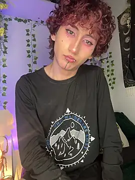 הופעת וובקאם של noynxz