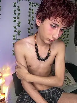 Show Webcam de noynxz