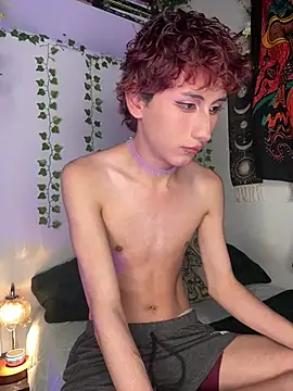 Show webcam de noynxz