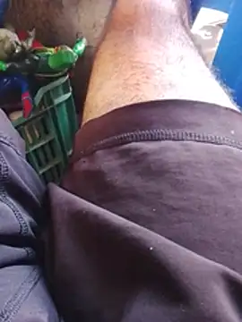 TonyPitoloko webcam show