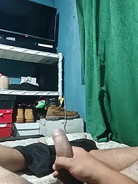 Recercor10 Webcam-Show