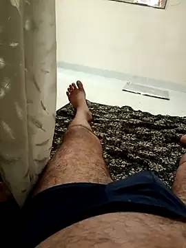 aarvicam Show Webcam