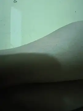 Show webcam de aarvicam