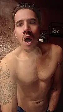 Myhornyplln Webbikameraesitys