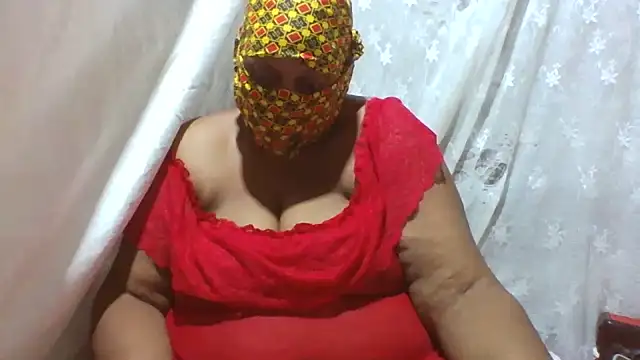 annal_galn Webbikameraesitys