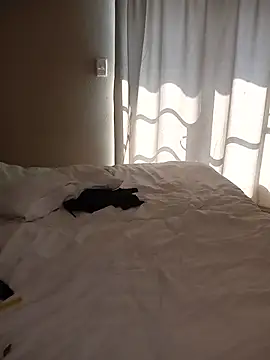 Roshapo 网络视讯表演