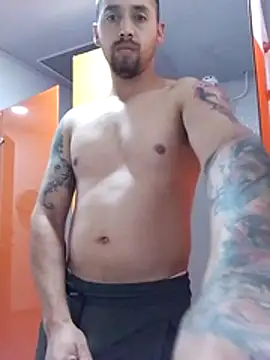 basrdchi's Webcam Show
