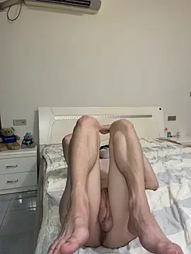 llkikin Webbikameraesitys