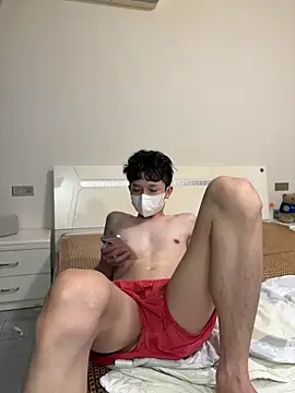 Show webcam de llkiki