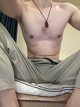 Show Webcam de llkiki