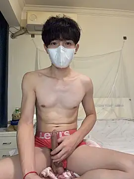 Show Webcam de llkiki