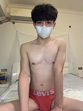 Show Webcam de llkiki