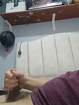 Andres_medi32n Webbikameraesitys