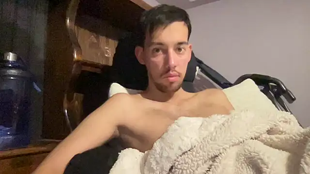 adam88231 webcam show