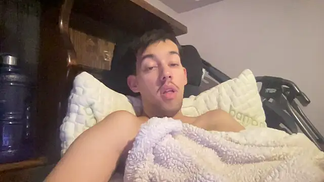adam88231 webcam show