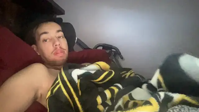 Show de webcam de adam88231