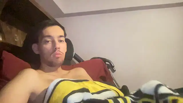 adam88231n Webbikameraesitys