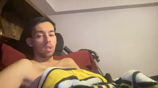 Show webcam de adam88231