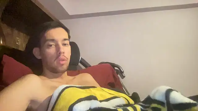 Show Webcam de adam88231