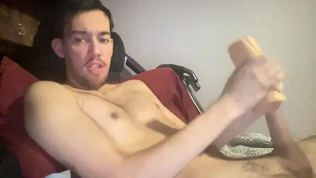 Show webcam de adam88231