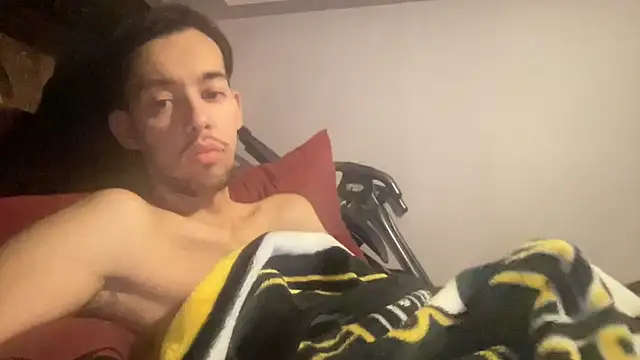 Show webcam de adam88231