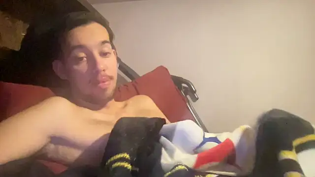 Show webcam de adam88231