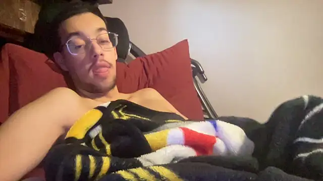 adam88231n Webbikameraesitys