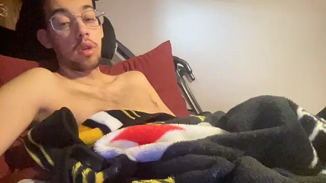 Show webcam de adam88231