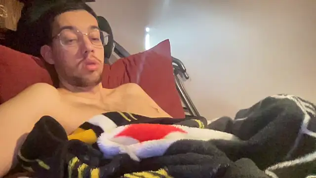 Show webcam de adam88231