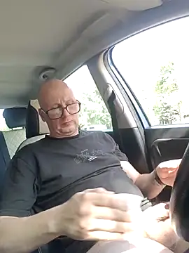 Car-public Show in webcam