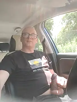 Car-public Show in webcam