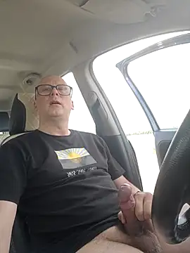 Car-public Webcam show