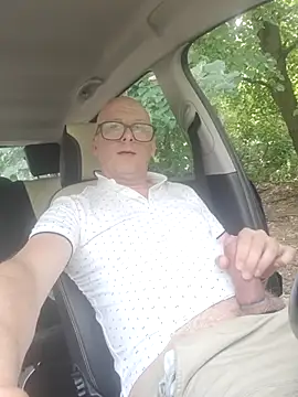 Car-public Show in webcam