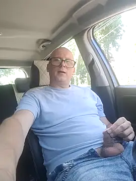Вебкам-шоу Car-public