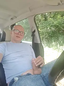 Show modela Car-public na web-kameri