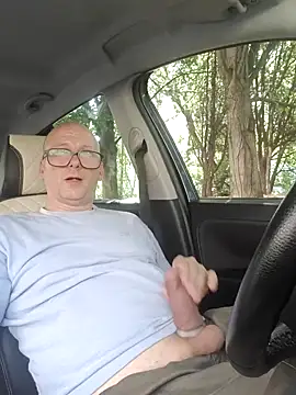 Вебкам-шоу Car-public