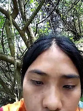 Hoa-tuylip Show in webcam