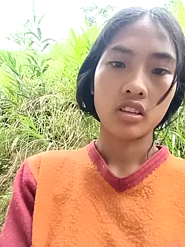 Hoa-tuylip 网络视讯表演