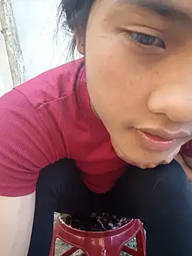 Hoa-tuylip Webcam-Show