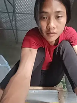 Hoa-tuylip Webcam-Show