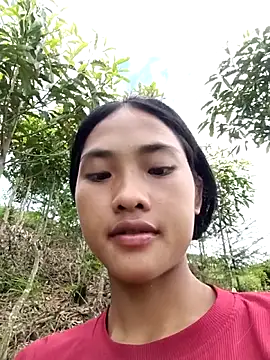 Hoa-tuylip Webcam show