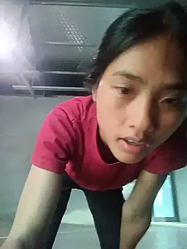 Hoa-tuylip Webcam show