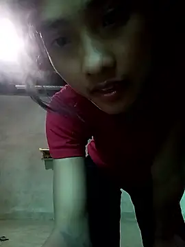 Hoa-tuylip webcam show