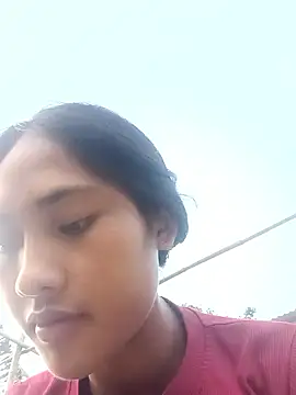 Hoa-tuylip – live chatrum