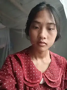 Hoa-tuylip Show Webcam