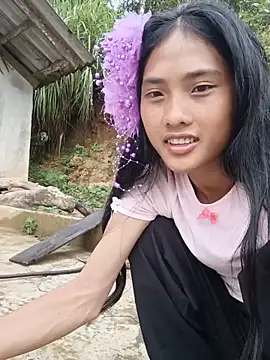 Hoa-tuylip Show Webcam