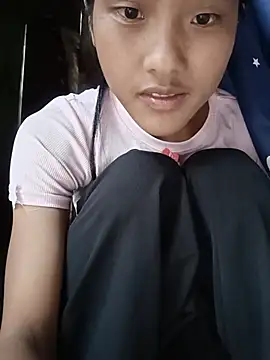 Hoa-tuylip Show Webcam