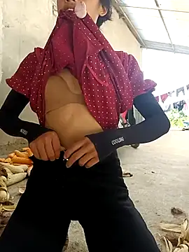 Hoa-tuylip Show in webcam